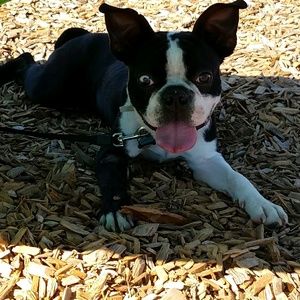 Meet your Posher, Tania